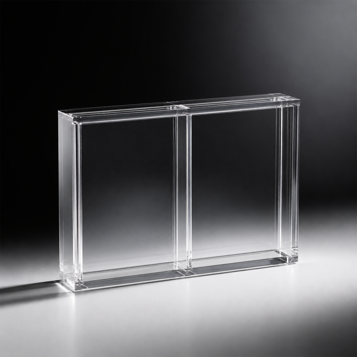 2X Acrylic Case