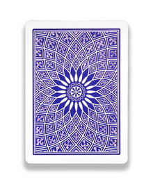 1001 Aladdin Dome Back