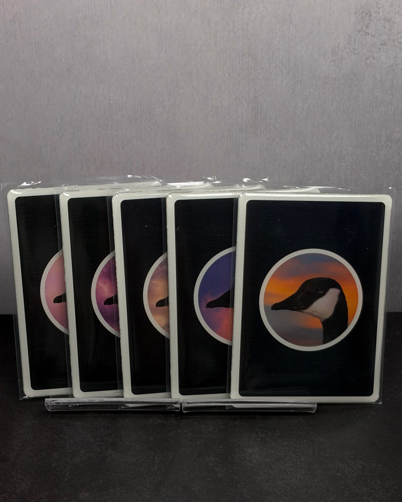 Becky Cardistry Trainer