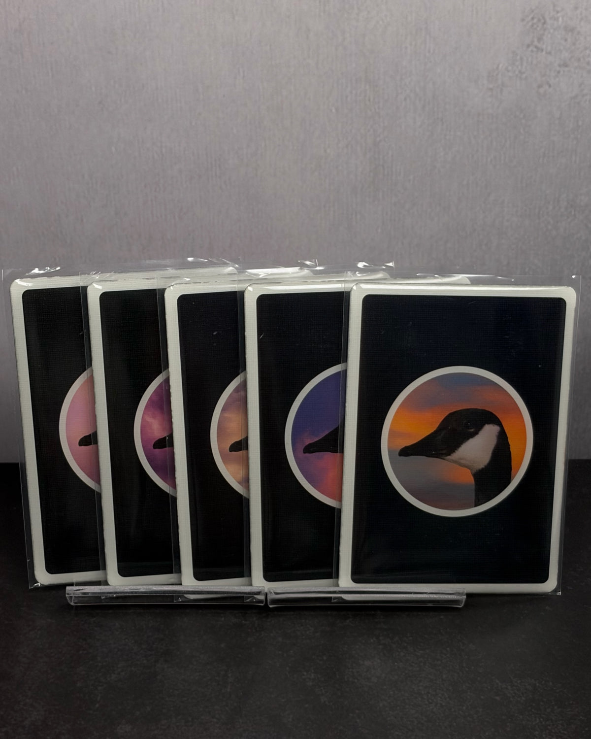 Becky Cardistry Trainer