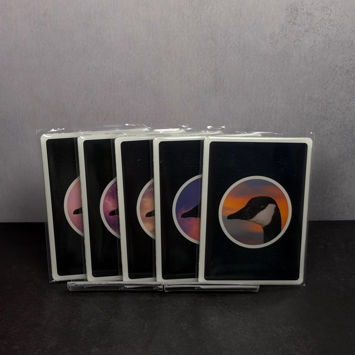 Becky Cardistry Trainer