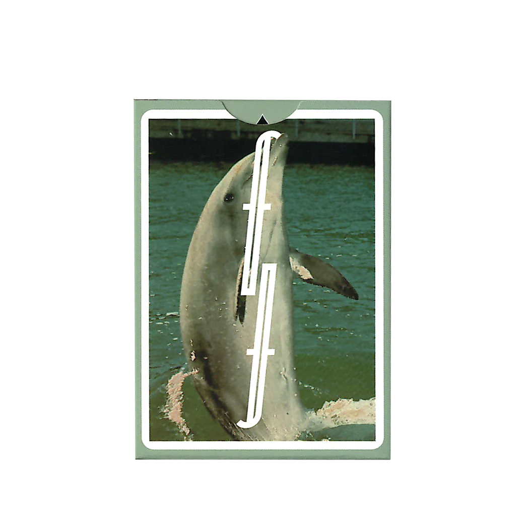 Flipper Fontaine