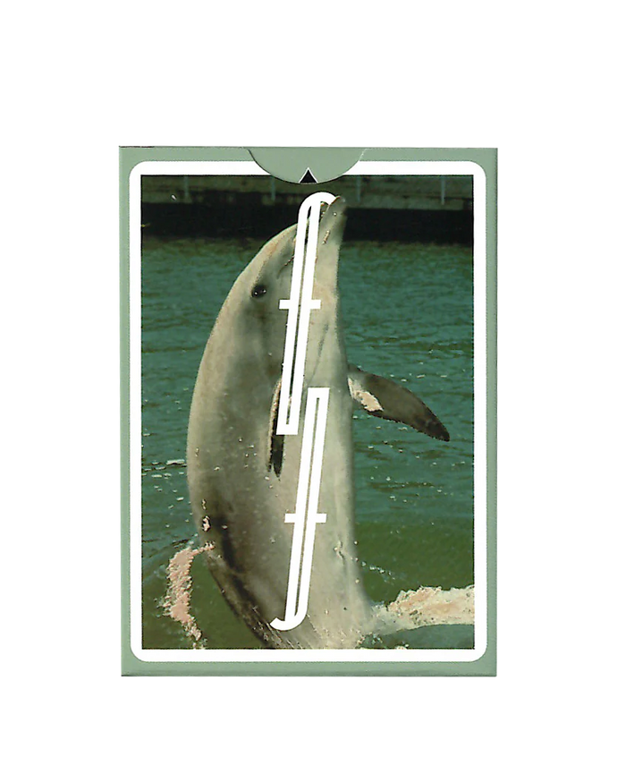 Flipper Fontaine