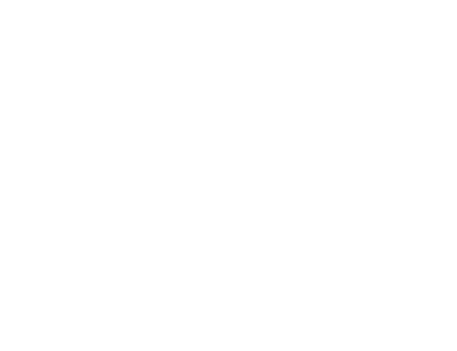 LosT Found